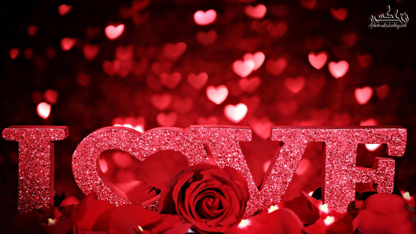 گل رز قرمز برای عشق