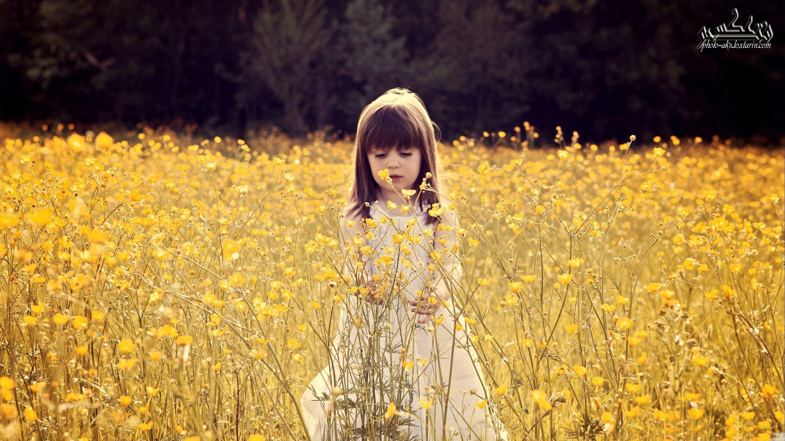 تصویر کودک ناز با گلها